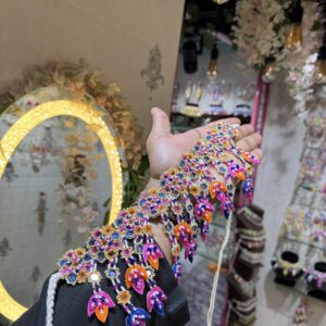 Resham shesham bridal set